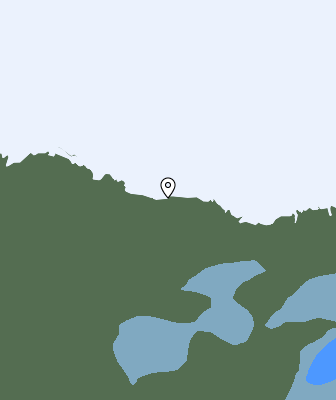Валежи