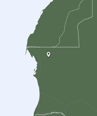 Nedbør