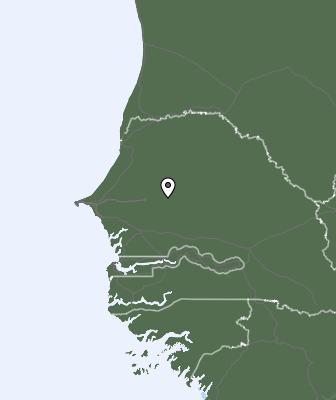 Niederschlagsprognose