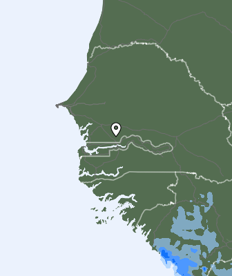 Nedbør