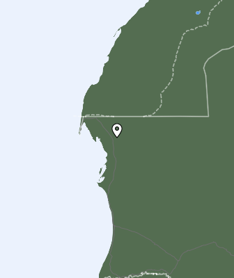 Neerslag