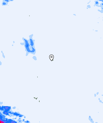 Niederschlagsprognose