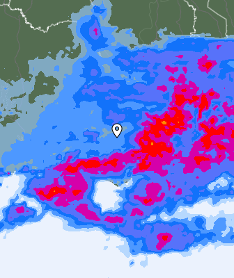 Niederschlagsprognose