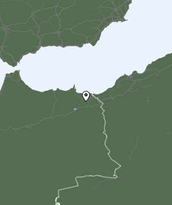 Niederschlagsprognose