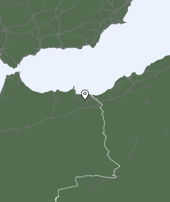 Niederschlagsprognose