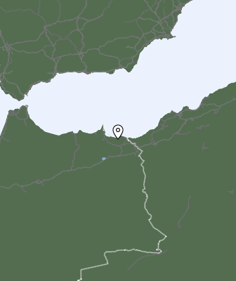 Niederschlagsprognose