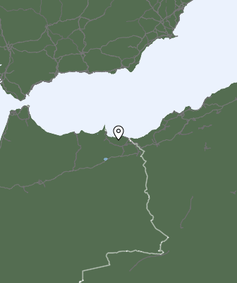 Niederschlagsprognose