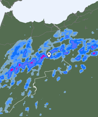 Precipitazioni