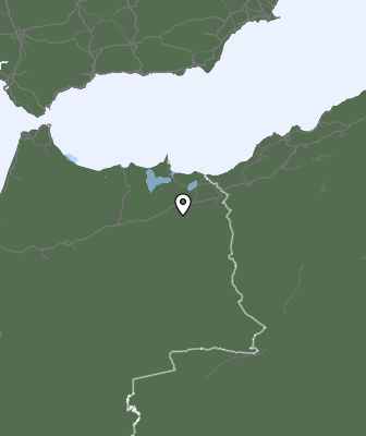 Neerslag