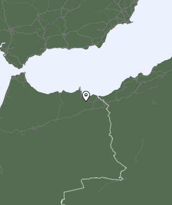 Niederschlagsprognose