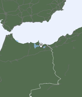 Neerslag