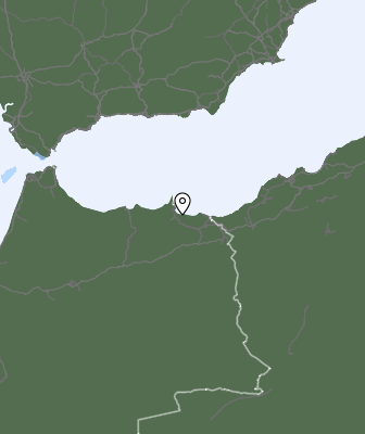 Niederschlagsprognose