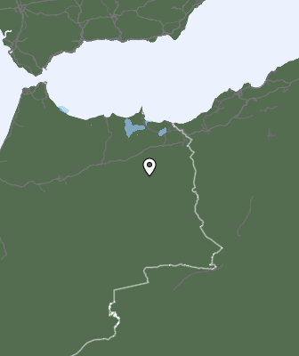 Neerslag