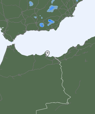 Niederschlagsprognose