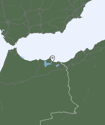 Neerslag