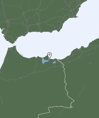 Neerslag
