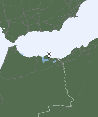 Neerslag