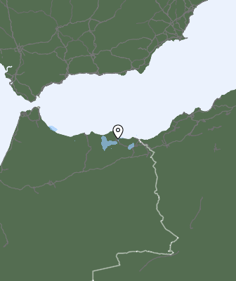 Neerslag