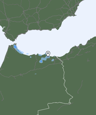 Neerslag