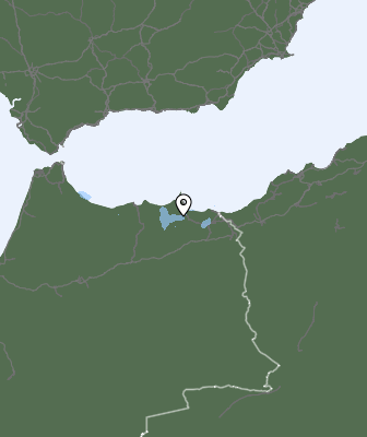 Neerslag