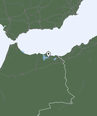 Neerslag