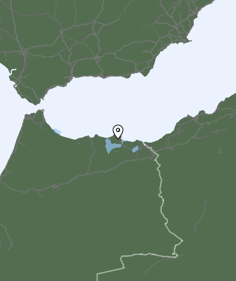 Neerslag