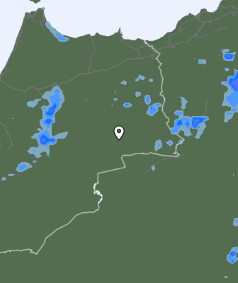 Niederschlagsprognose