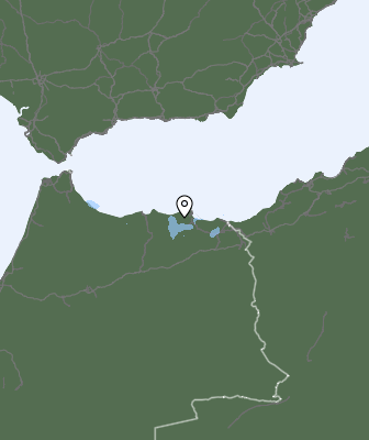 Neerslag