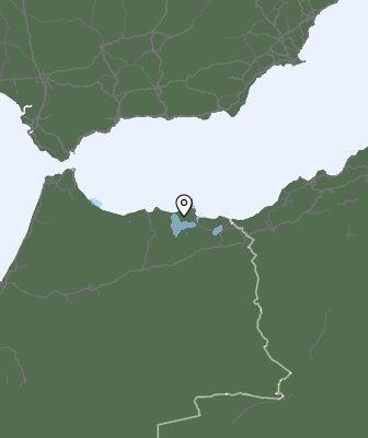 Neerslag