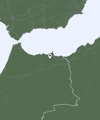Precipitação