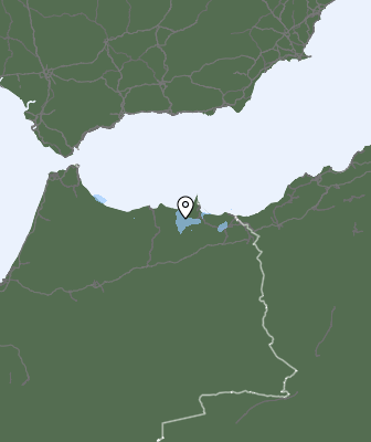Neerslag