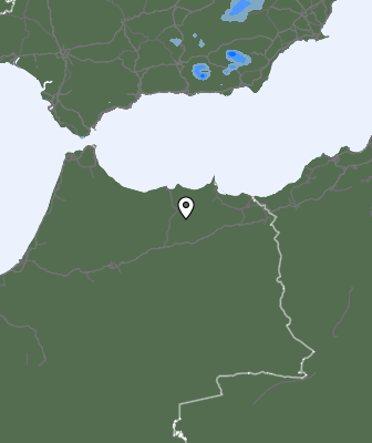 Niederschlagsprognose