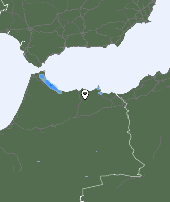 Neerslag