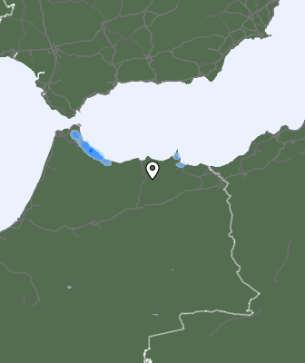 Neerslag