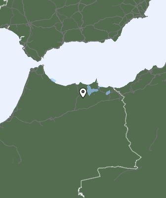 Neerslag