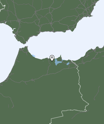 Neerslag