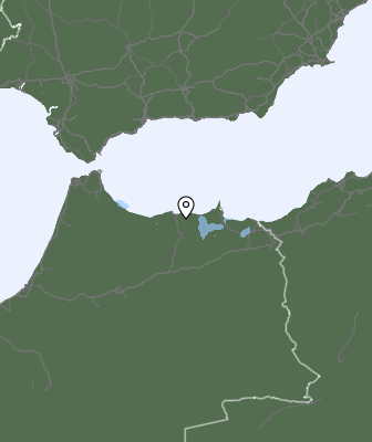 Neerslag