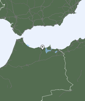 Neerslag