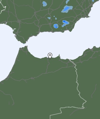 Niederschlagsprognose