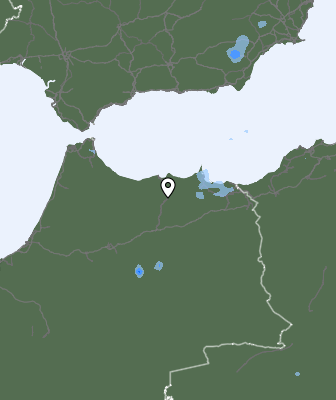 Neerslag