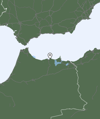 Neerslag