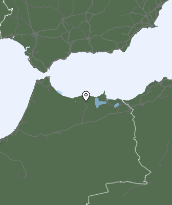 Neerslag