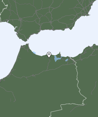 Neerslag