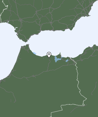 Neerslag