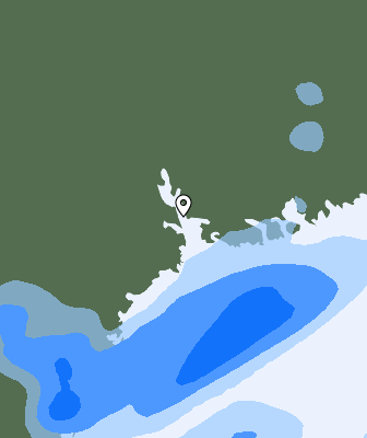 Валежи
