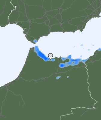 Neerslag