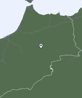 Niederschlagsprognose