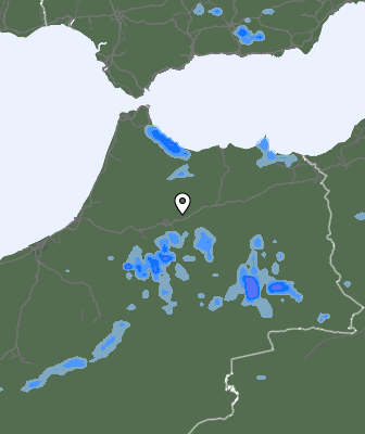 Niederschlagsprognose