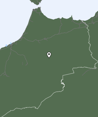 Niederschlagsprognose