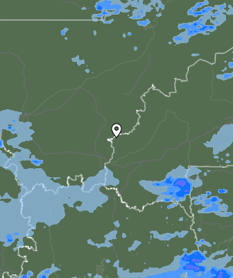 Niederschlagsprognose